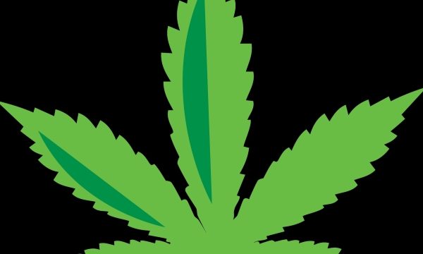 The Buzz: Exploring the Highs and Lows of Marijuana