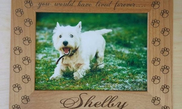 Remembering Our Beloved Pets: A Guide to Creating Meaningful Pet Memorials