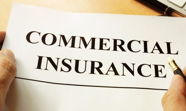 Shielding Your Small Business: A Guide to Insurance Success