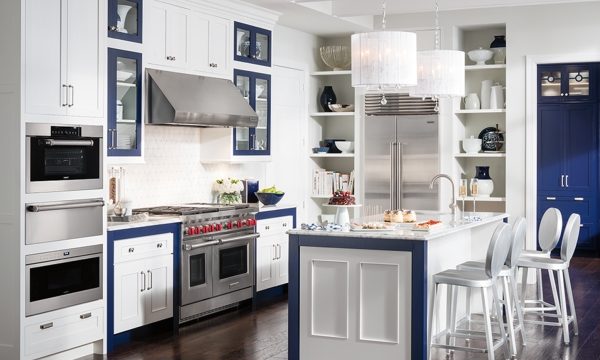 Chillin’ in Style: Exploring the World of Sub Zero Appliances and Freezers