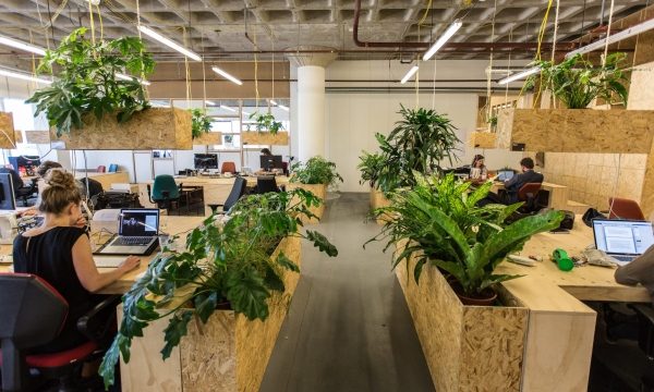 The Rise of Coworking: Collaborative Spaces for Modern Professionals