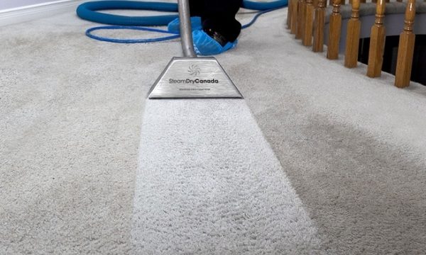 Unveiling the Secrets to Spotless Carpets: A Comprehensive Guide to Effective Cleaning
