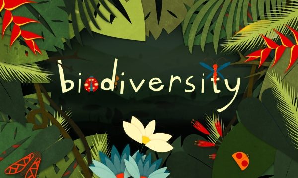 The Symphony of Nature: Exploring the Tapestry of Ecology and Biodiversity