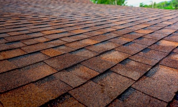 Under the Roof: Exploring the Art of Roofing