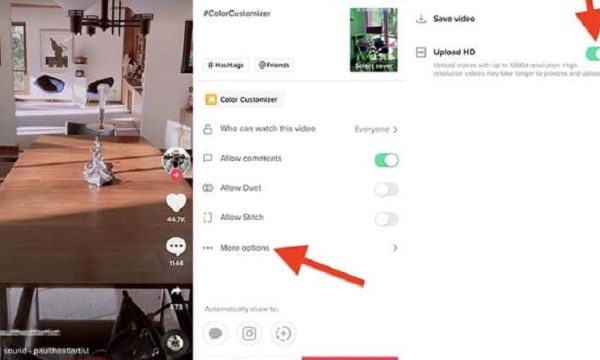 Unveiling the TikTok Trend: Inside the World of Short-Form Content