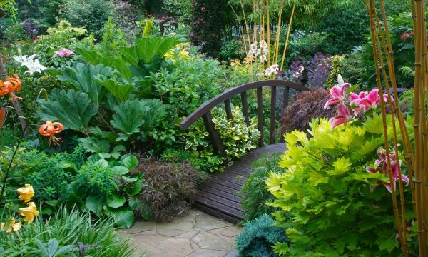 Bloom Where You’re Planted: Creative Gardening Tips for Thriving Greenery