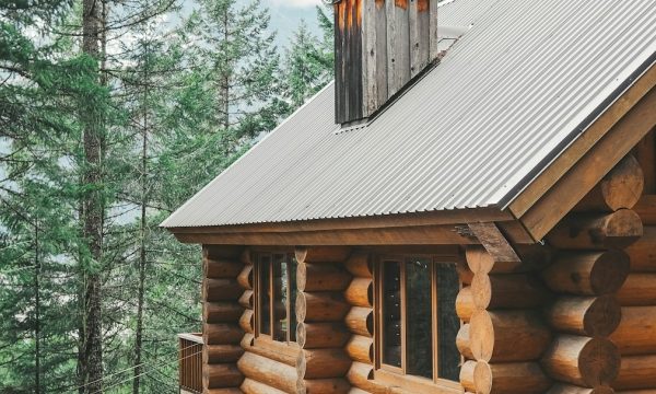 Embracing Nature: The Timeless Charm of Log Cabins and Homes