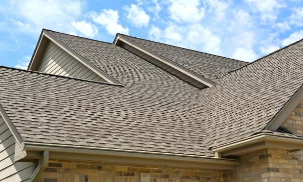 Elevate Your Home: Mastering Siding, Roofing, Gutters, and Windows for Ultimate Curb Appeal