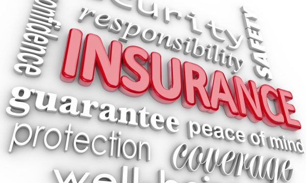 Insuring Your Future: The Ultimate Guide to Choosing the Right Insurance Agency